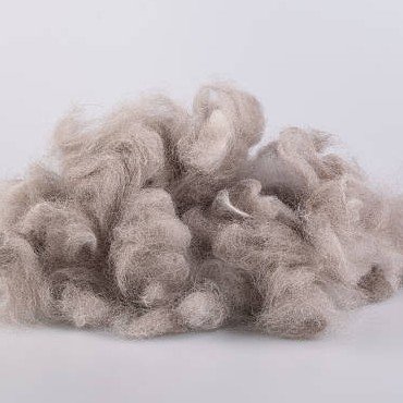 Himalayan Cashmere